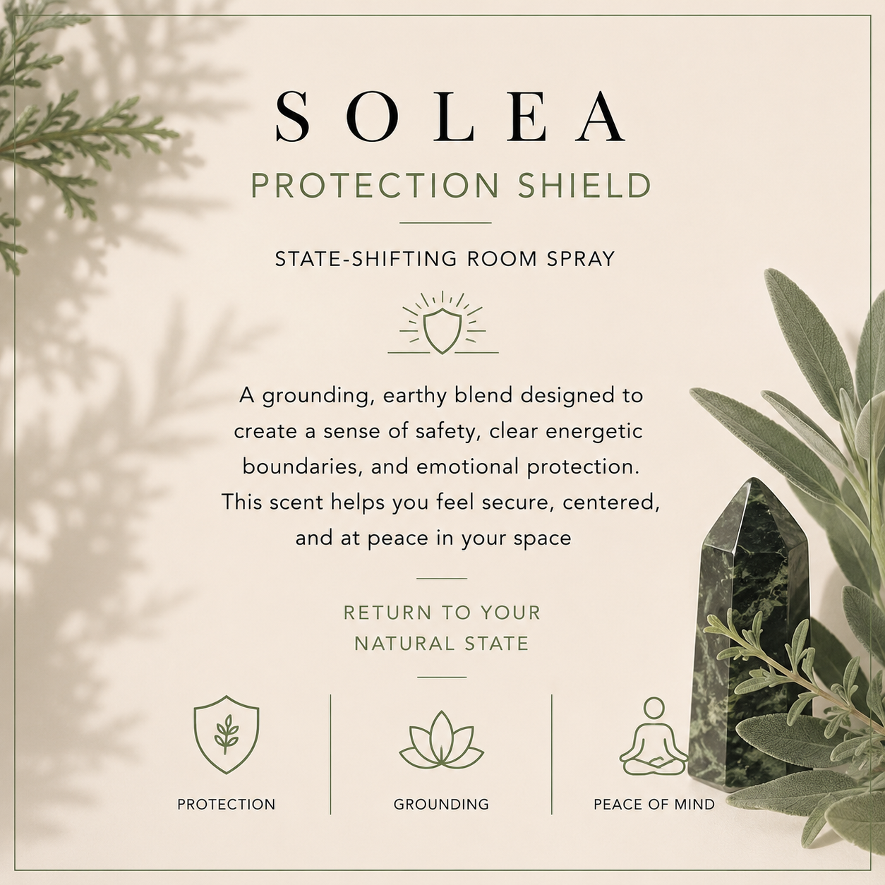Protection Shield